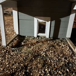 Dog House