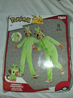 Pokemon costume