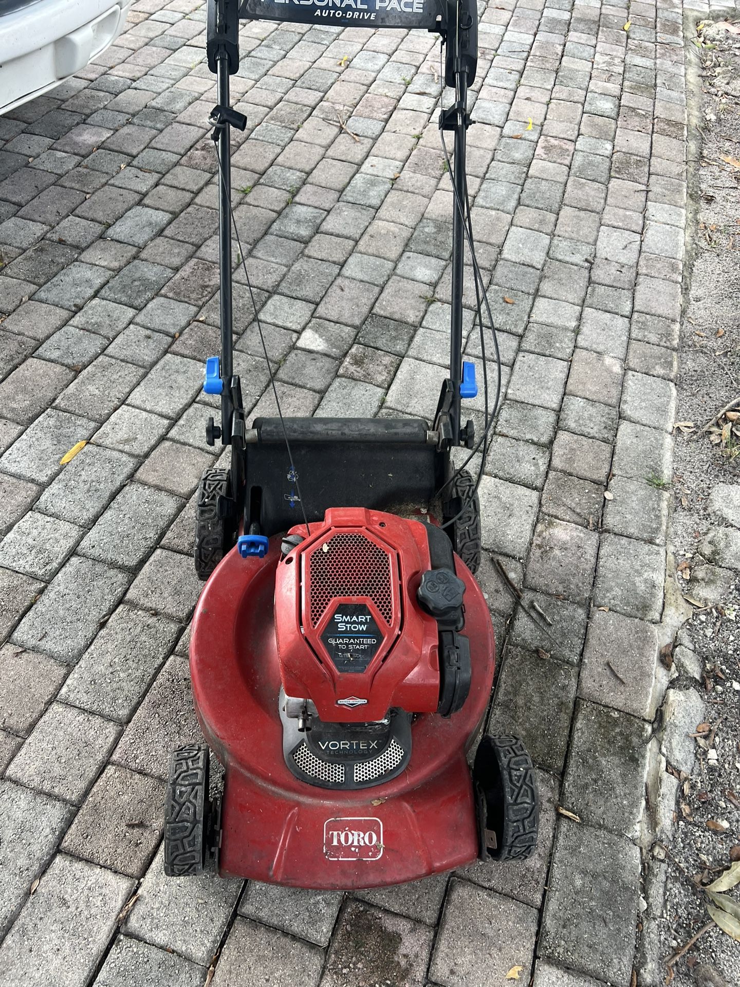 Toro