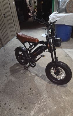 Electric bike
