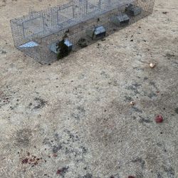 Rabbit Cages Or Animal Cages 