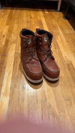 Wing shooter Irish Setters