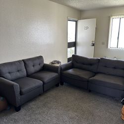 Grey Couches