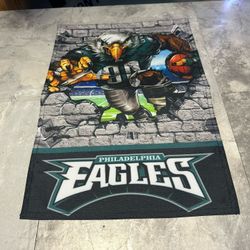 PHILADELPHIA Eagles Swoop 2 Sided 11.5" X 17.5" GARDEN FLAG / YARD Flag