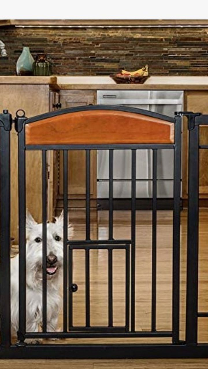 Carlson Pet Products Design Studio Home Decor Walk Through Pet Gate Carlson Pet Gate Missing Screws But Can Be Easily Replaced With Others Screws. And