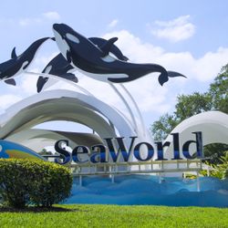 Parque Tematico De Seaworld 
