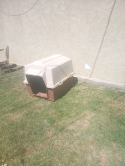 Very good DOG HOUSE