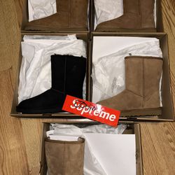 Ugg Brand New 