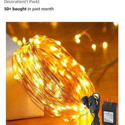 33 Ft Fairy Lights Indoor/ Outdoor Plug In