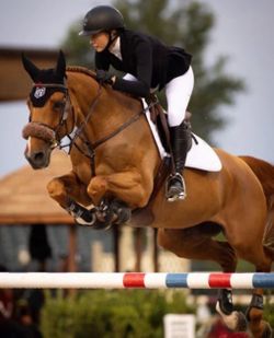 Show Jumper Jacket