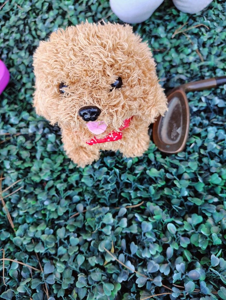 Misc Toys Never used Just Put In Toy Box