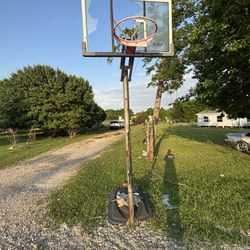 Lifetime World Class Basketball Hoop 