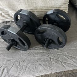 Two Ten Pound Weights