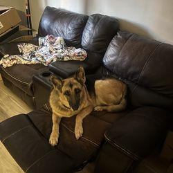 Free Double Recliner