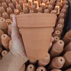 8/14 - $1 Terracotta for Sale - Plants Too