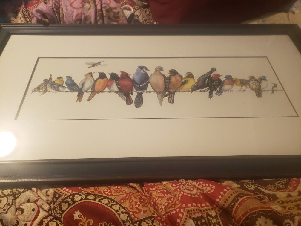 AMAZING VIBRANT STUNNING PICTURE