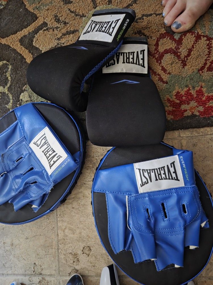 Everlast Practice boxing gloves & Mitts