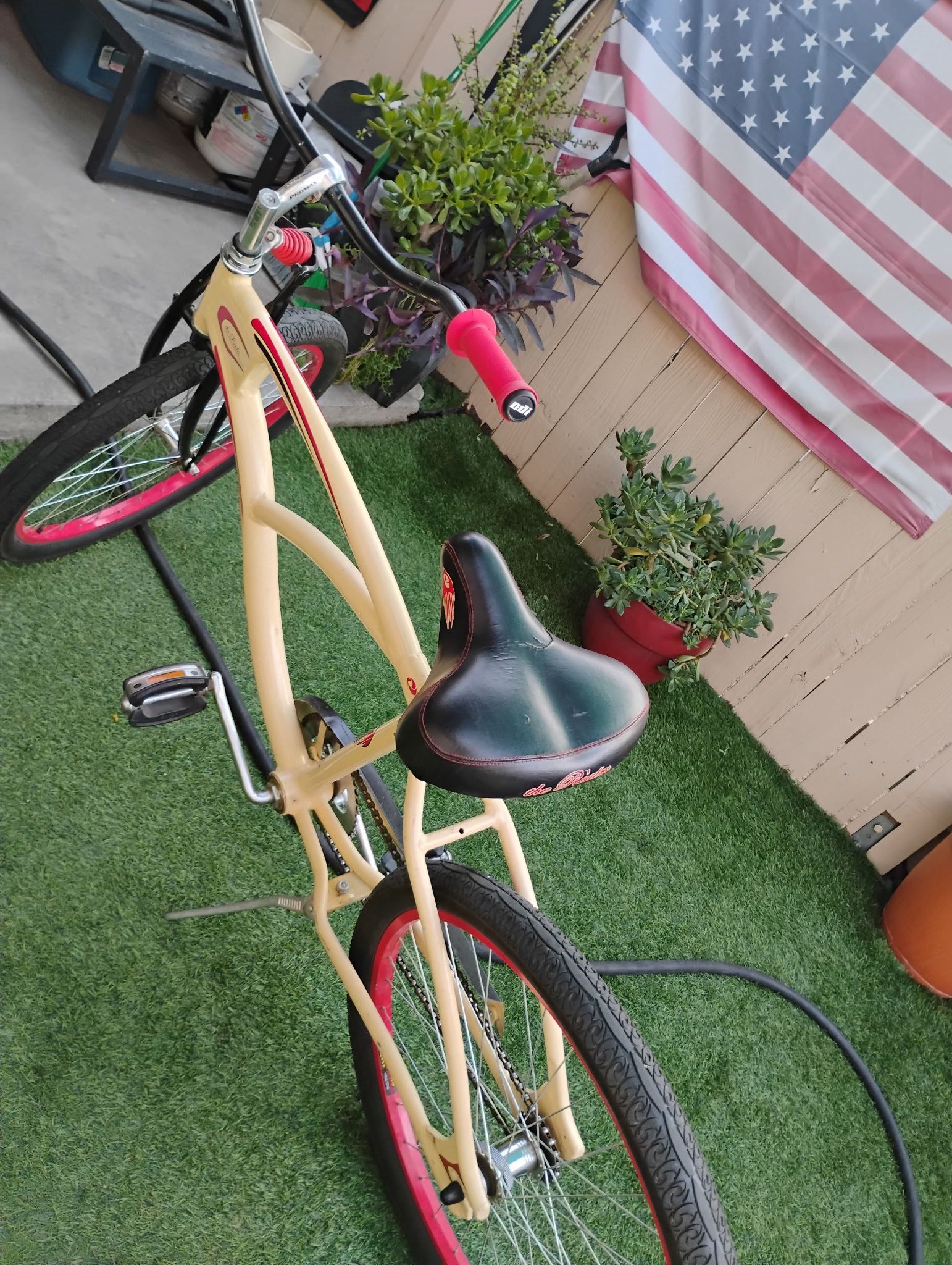 Beach Cruiser