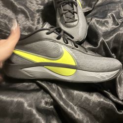 Nike Giannis Zoom Freak 6