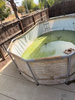 Above the ground pool