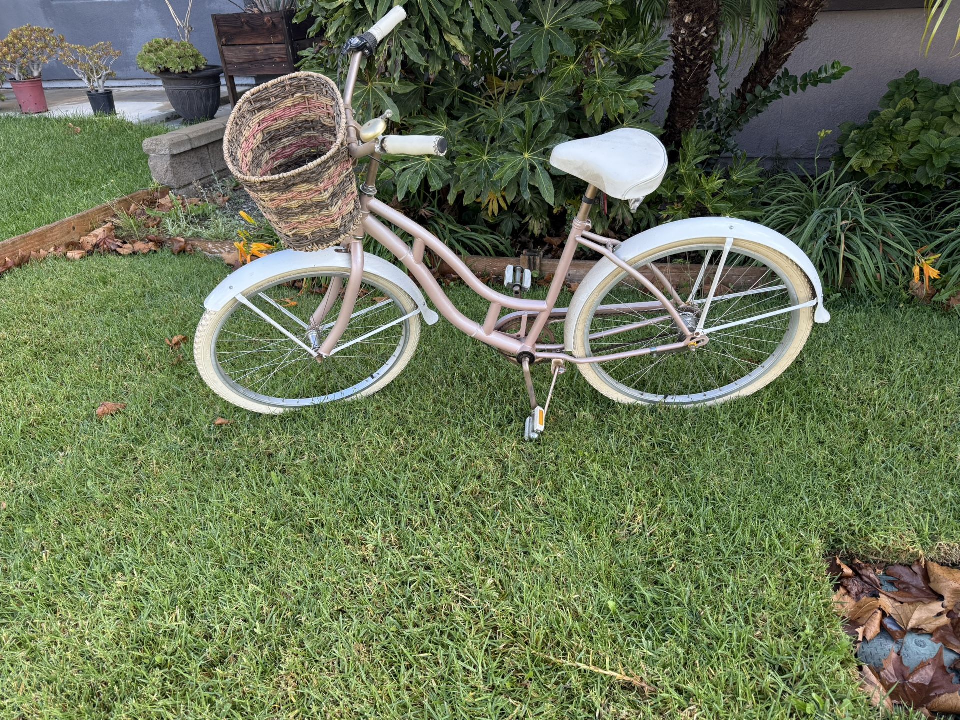 Beach Cruiser