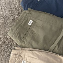Brand New Timberland Shorts 
