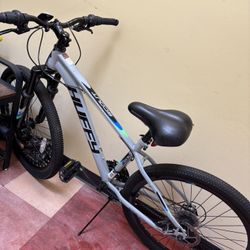 Bisicleta 