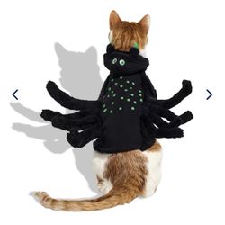 Petco Halloween Dog Cat Spider Costume