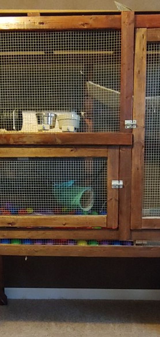 Ferret-Bird/small Animal Cage