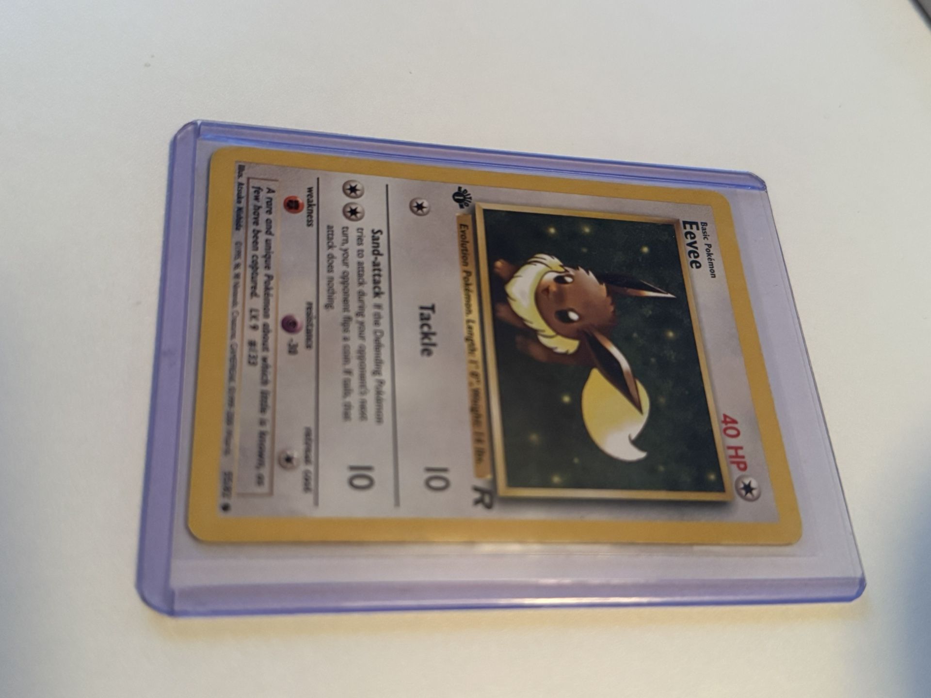 1st Edition Eevee 55/85