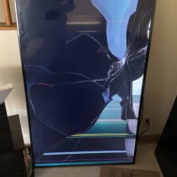 65” Smart TV Screen Cracked 