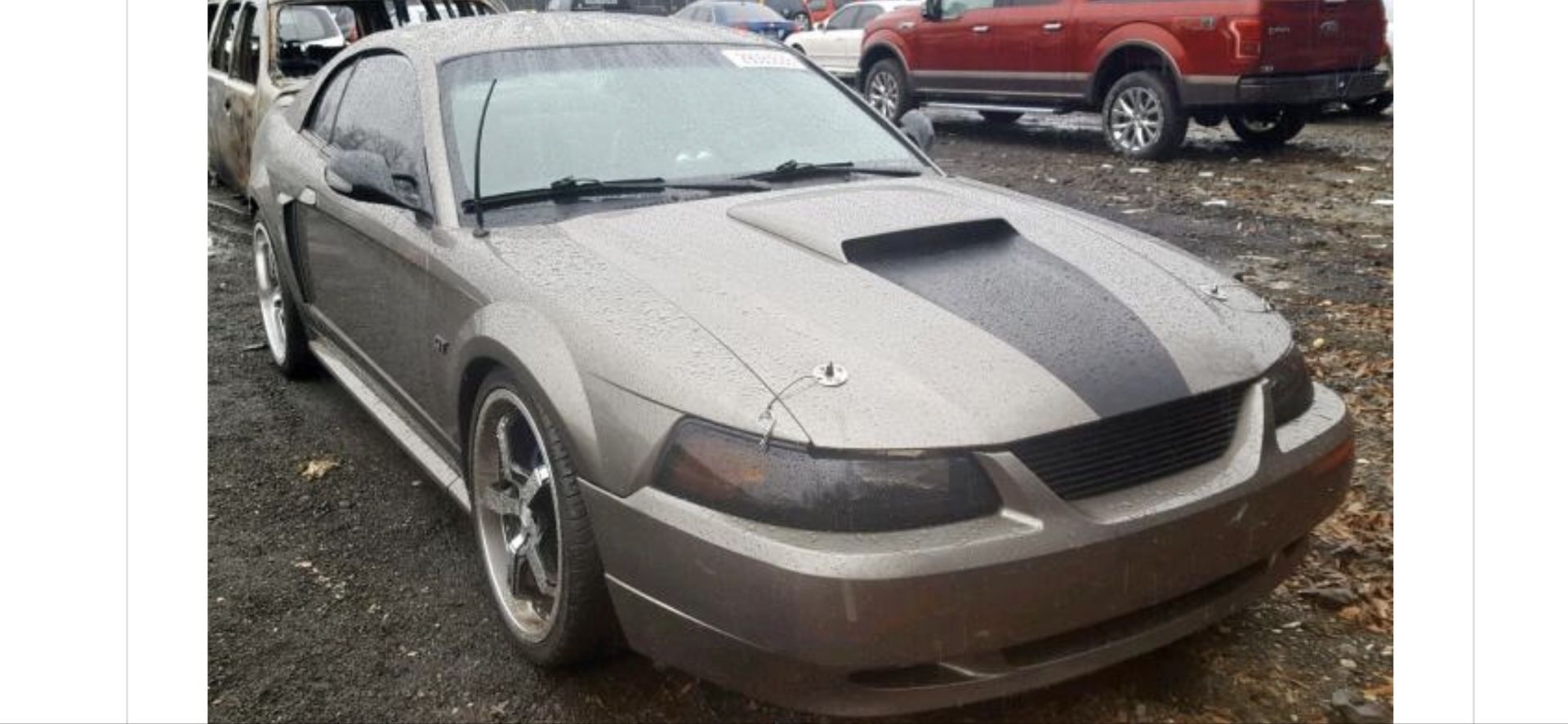 2002 Ford Mustang