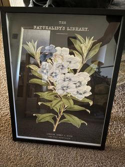 Home Floral Picture