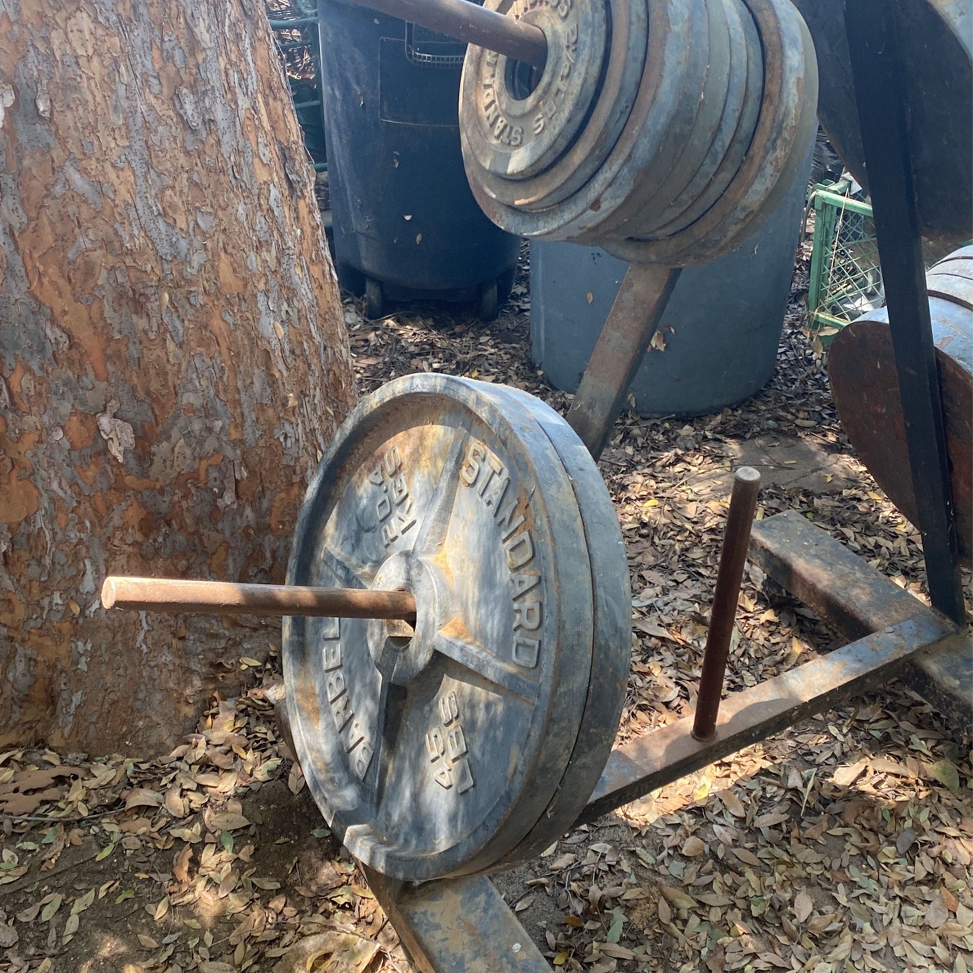 Weights And Squat Rack