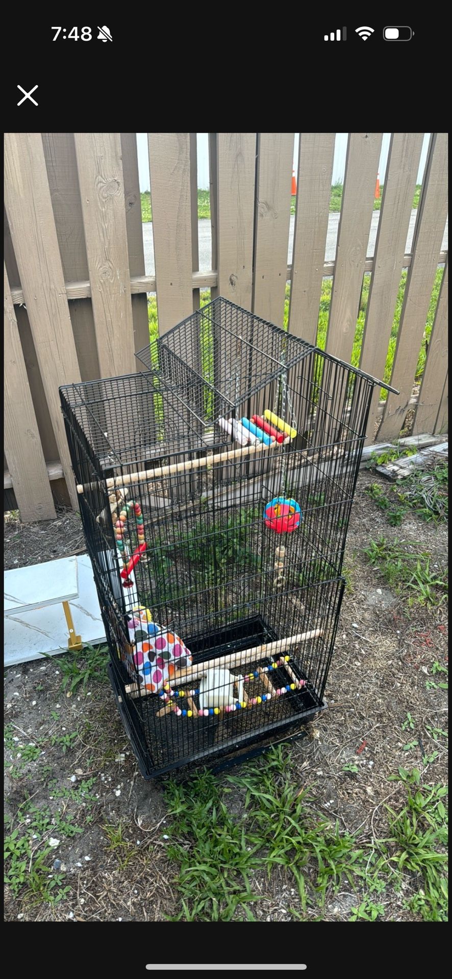 Bird Cage