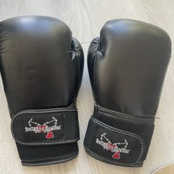 Century Boxing Gloves 
