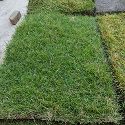 Bermuda Sod $90