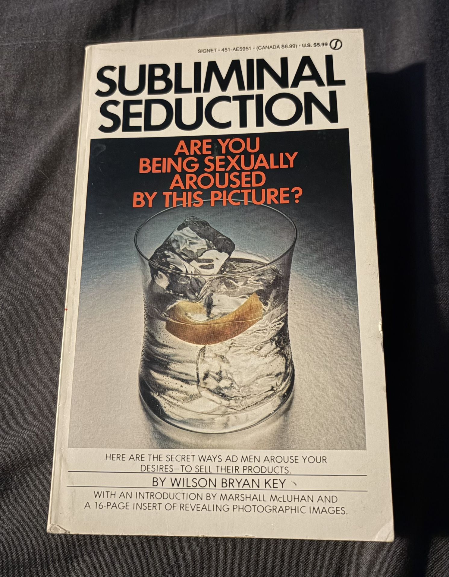 Subliminal Seduction Paperback