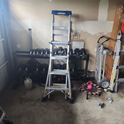 Werner Multi-Max Pro Ladder