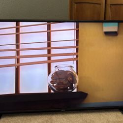 55 Inch Vizio 