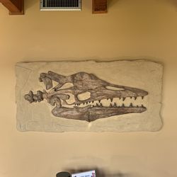 Montessori dinosaur 83 million years old authentic