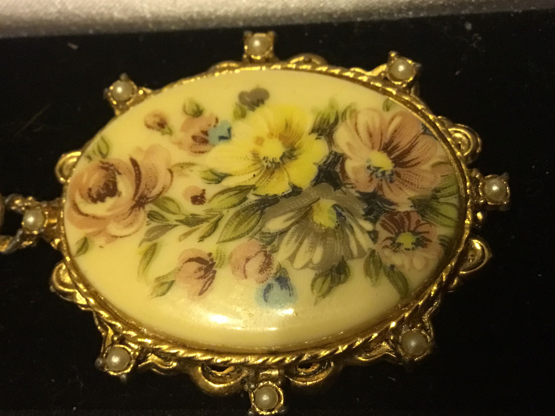 Vintage hand painted pin