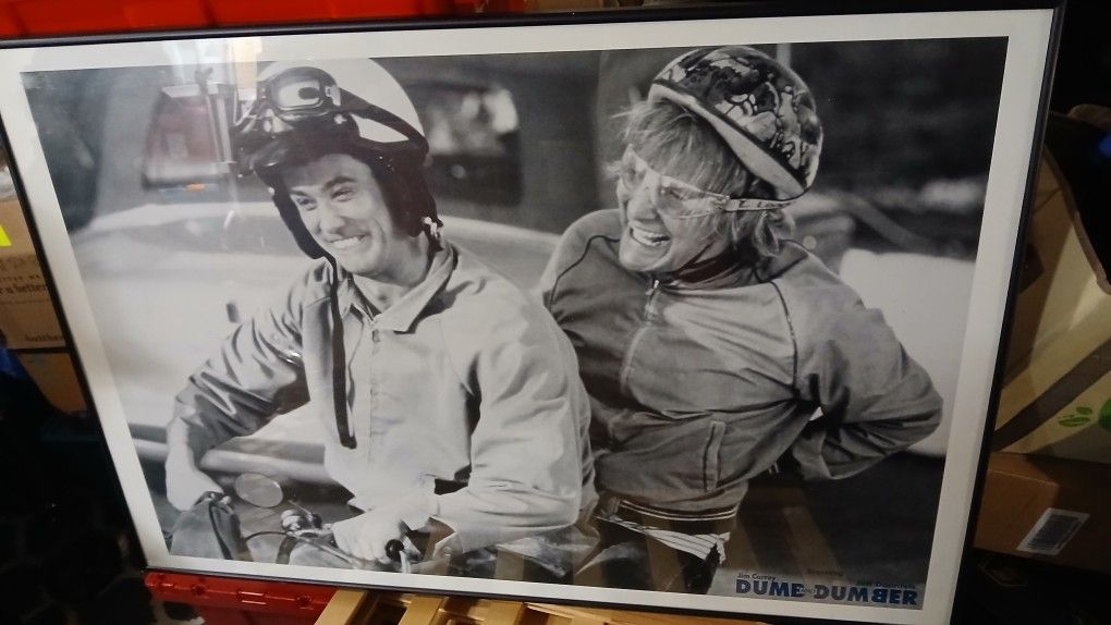 Dumb and Dumber movie framed wall Photo