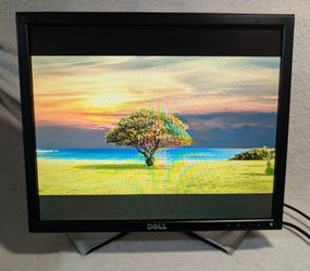Dell 19" Flat Panel LCD Monitor