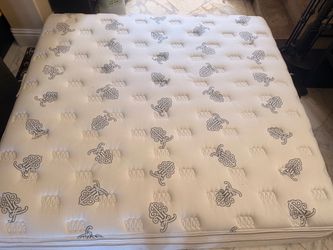 Beautyrest Black Edition Eastern King