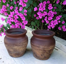 Clay pots