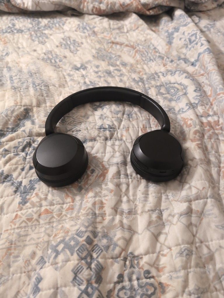 Sony WH CH520 Headphones