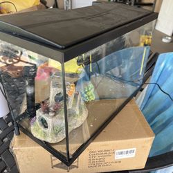 Fish Aquarium