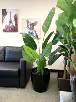 Artificial Tree, 5 ft tall Fake Trees, Fiddle Leaf Fig, Birds of Paradise, Alocasia