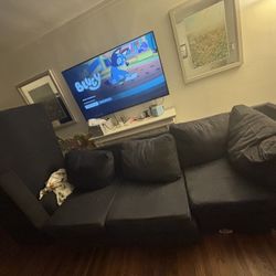 Free Sectional Couch 